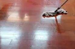 辦公區(qū)域保潔要注意哪些方面呢？