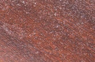 對于家里灰塵的清理，有什么方法嗎？